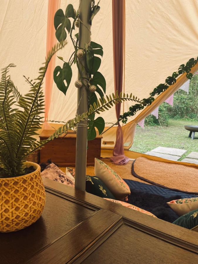 Готель Hollington Park Glamping Ньюбері Екстер'єр фото