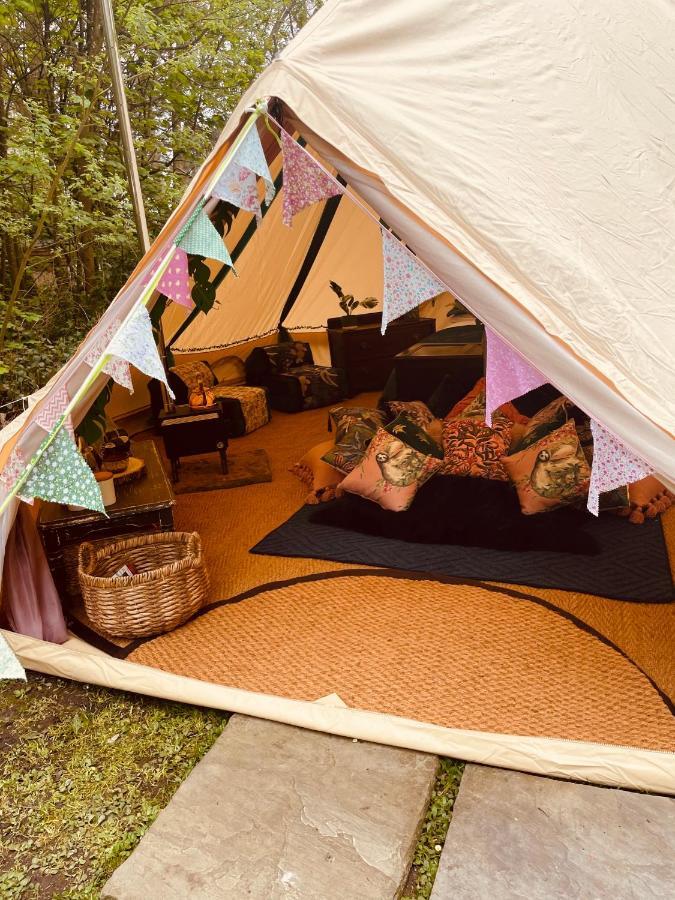 Готель Hollington Park Glamping Ньюбері Екстер'єр фото