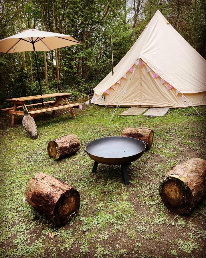 Готель Hollington Park Glamping Ньюбері Екстер'єр фото