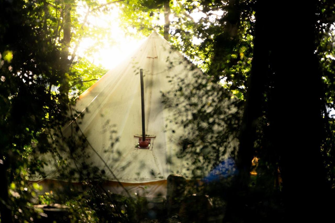 Готель Hollington Park Glamping Ньюбері Екстер'єр фото