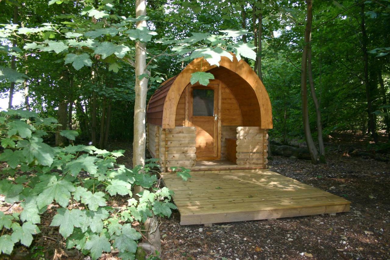 Готель Hollington Park Glamping Ньюбері Екстер'єр фото